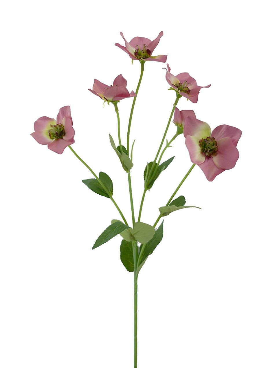 Hellebore Spray Pink 60cmL