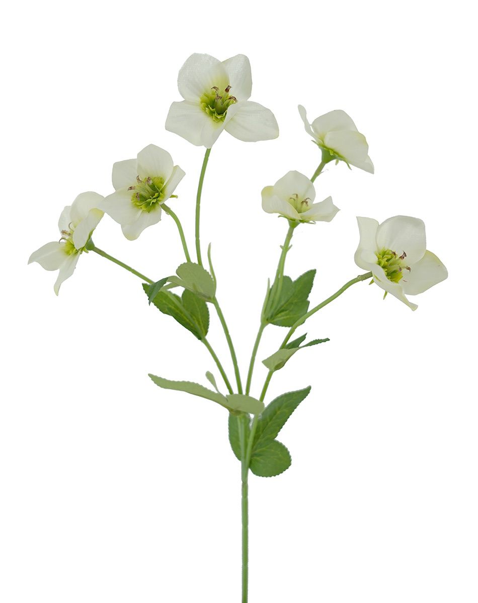 Hellebore Spray Cream 60cmL