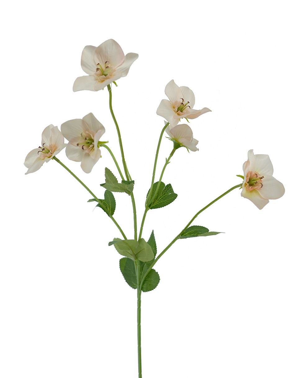 Hellebore Spray Champagne 60cmL