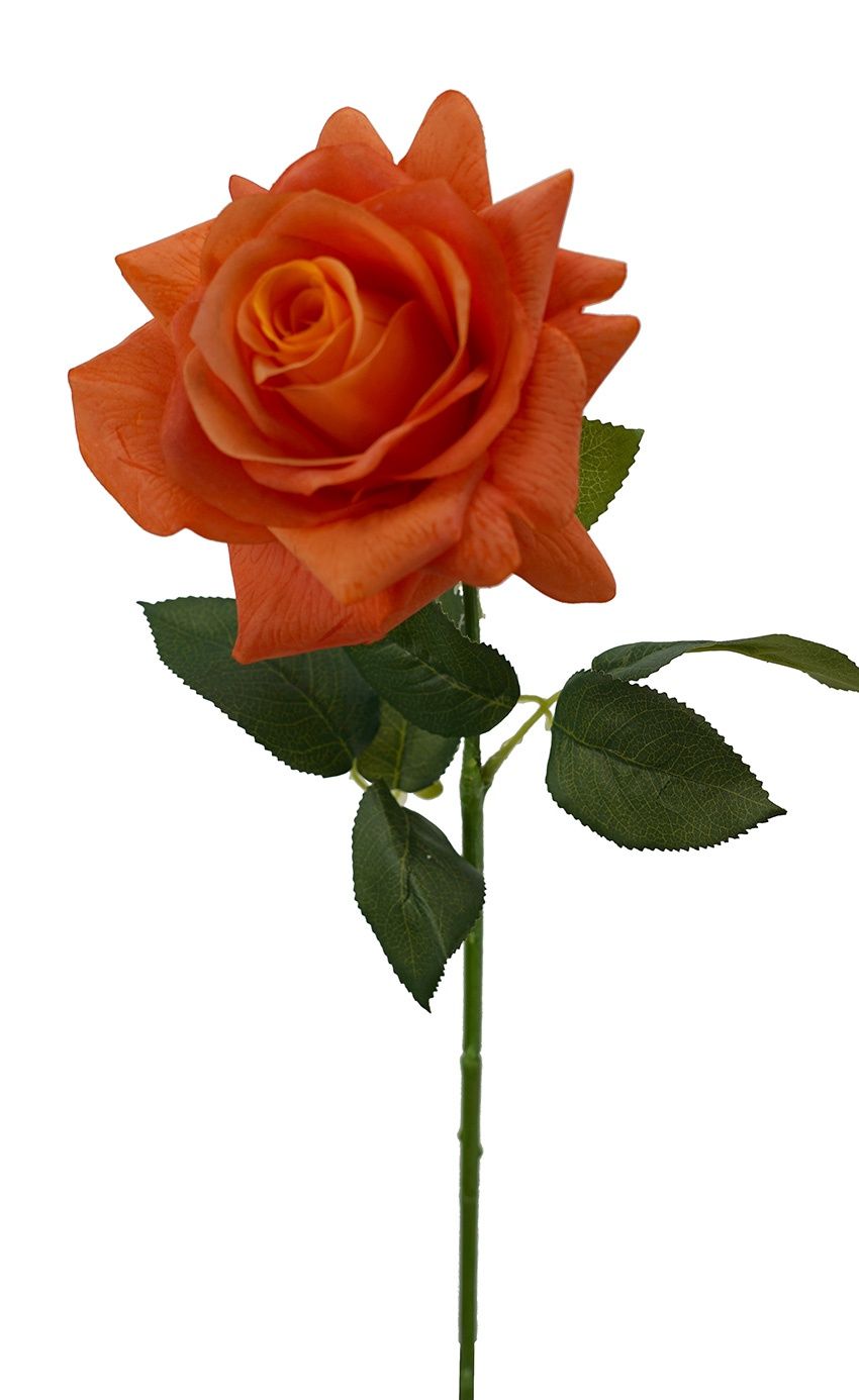 Rose Full RT Stem Orange 72cmL