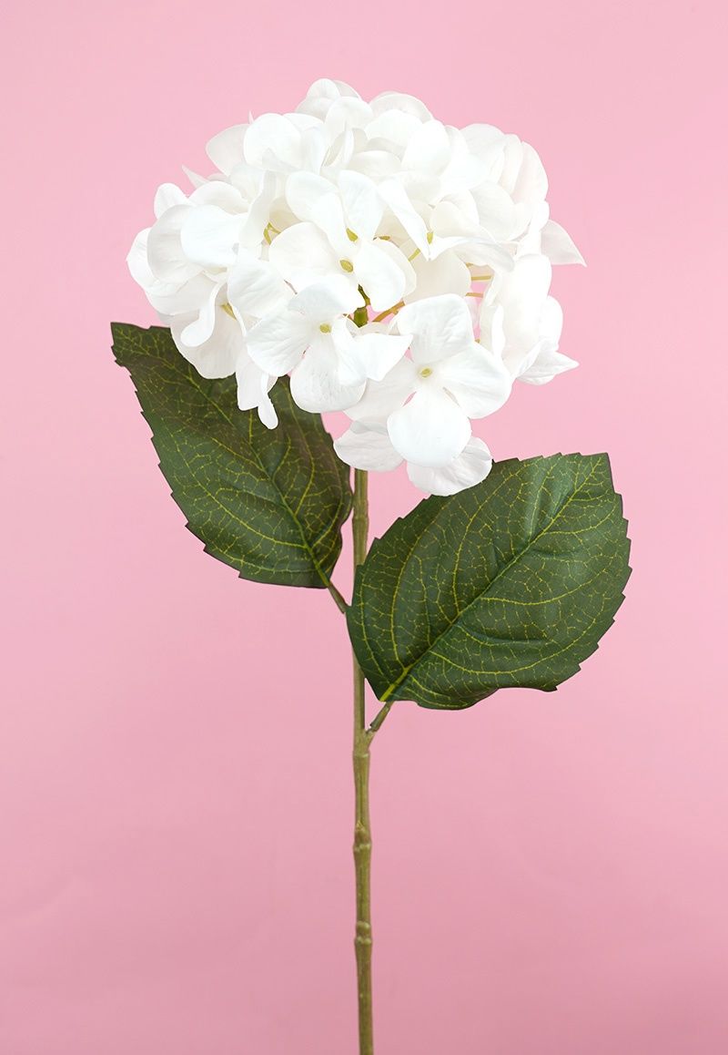 Hydrangea Stem White 70cmL