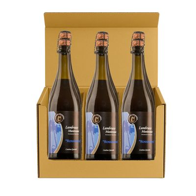 Lambrusco Mantovano Dop Rossissimo- 6 Bottle Case 0,75 L