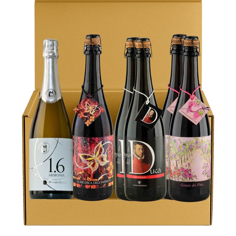 Edizione Limitata - Esclusiva confezione 6 bottiglie da 0,75L