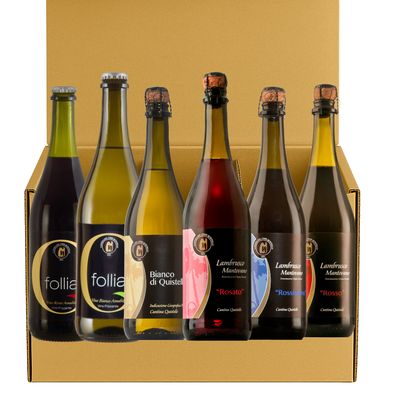 Secchi e Amabili - Esclusiva confezione 6 bottiglie da 0,75L Secchi e Amabili - Esclusiva confezione 6 bottiglie da 0,75L