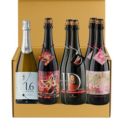 Edizione Limitata - Esclusiva confezione 6 bottiglie da 0,75L Edizione Limitata - Esclusiva confezione 6 bottiglie da 0,75L