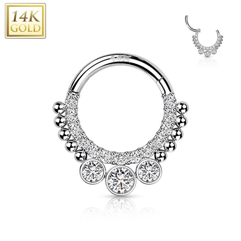 Segmentring aus 14K Weissgold