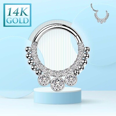 Segmentring aus 14K Weissgold