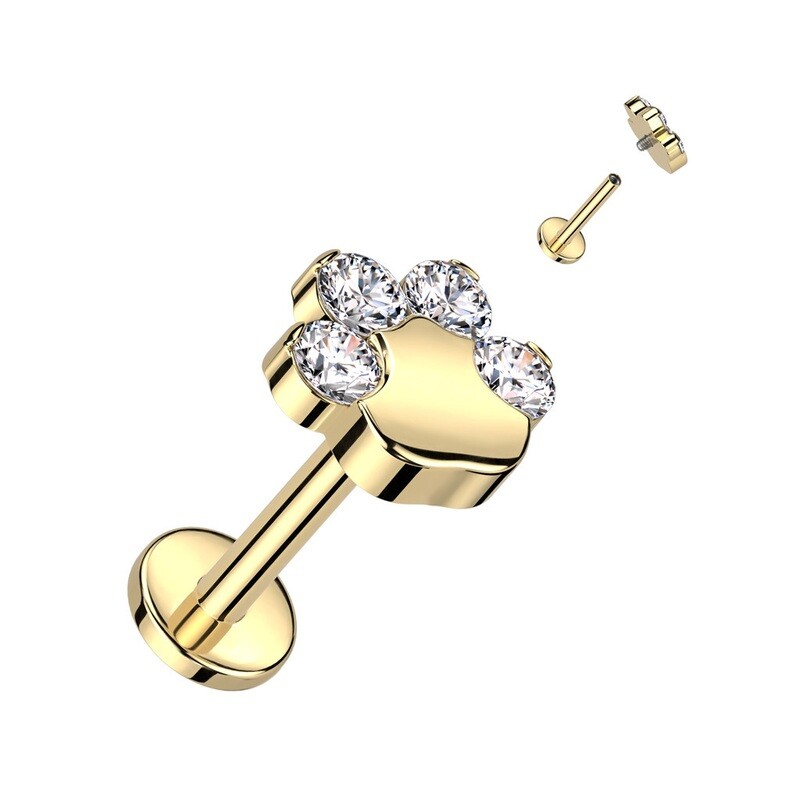 Labret aus Titan Vergoldete Pfote