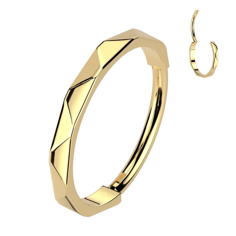 Nasenring Segmentring aus Titan facettierte Seite