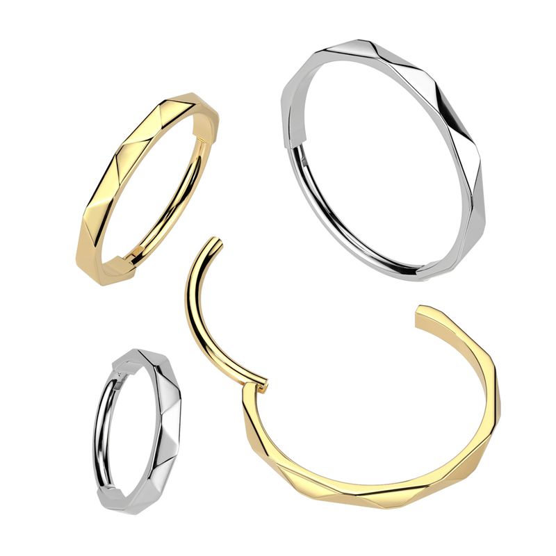 Nasenring Segmentring aus Titan facettierte Seite silber