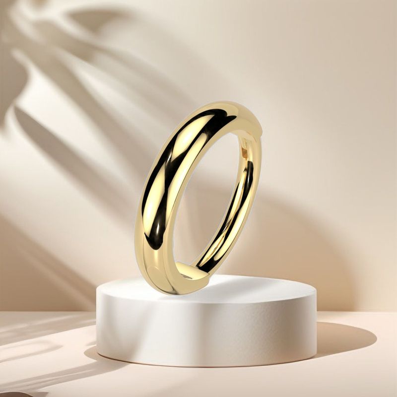 Nasenring Segmentring aus Titan vergoldet