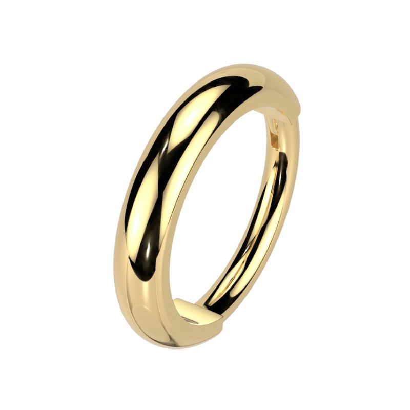 Nasenring Segmentring aus Titan vergoldet