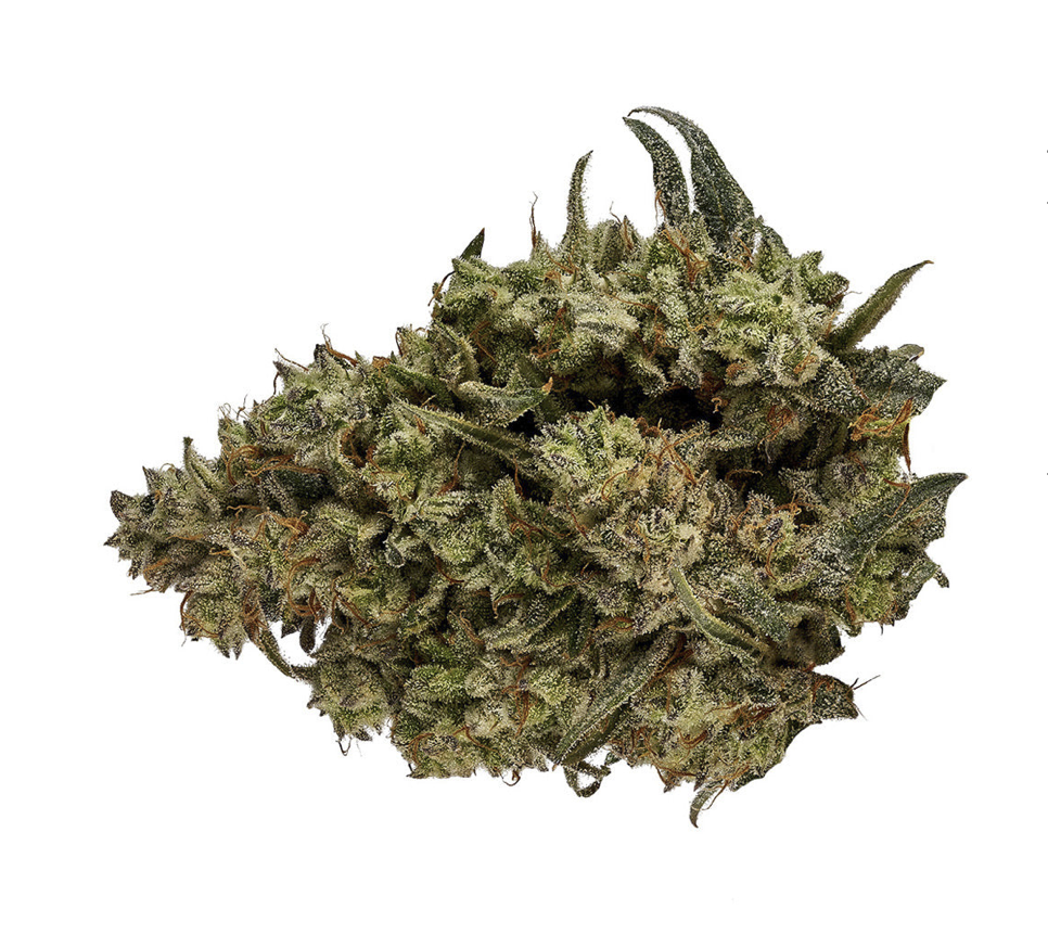 3.5g ORCHID-CBD Runtz