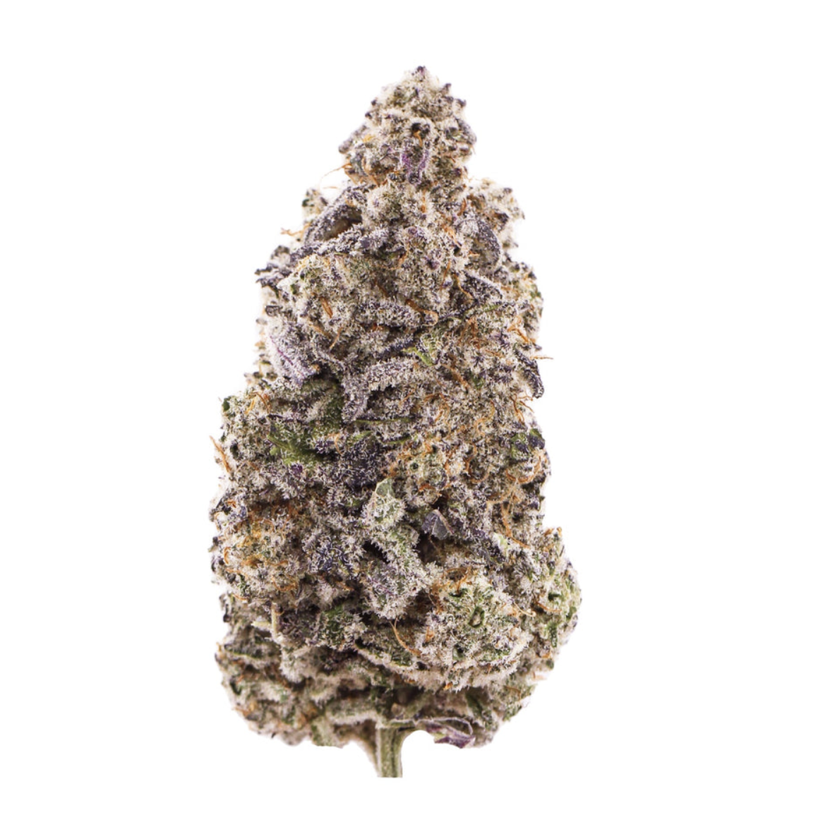 3.5g ALL NATIONS-MacDaddy