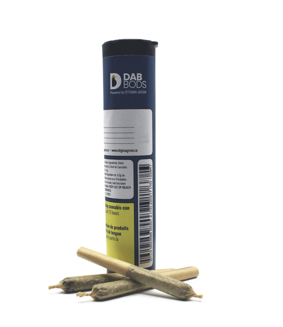 1.5g DAB BODS-Blueberry Haze Resin Infused PR 3x.5g