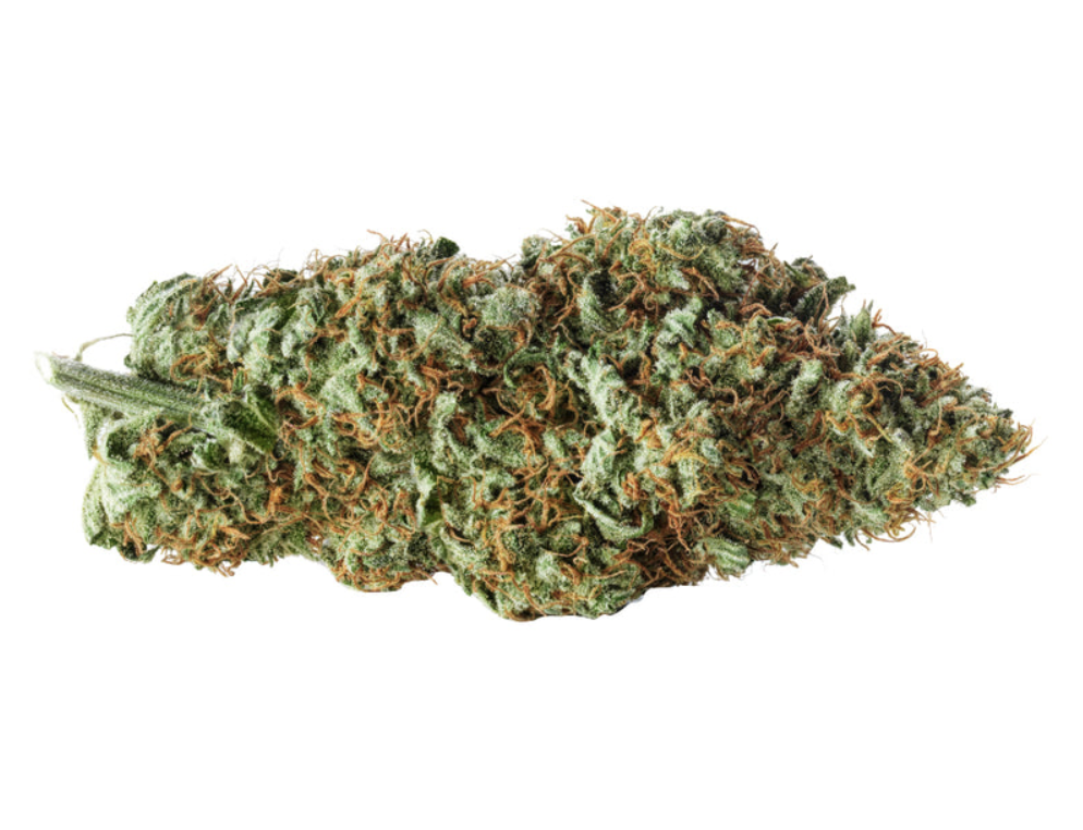 14g REDECAN-Lilac Diesel