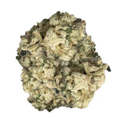14g BC GREEN-Cement Shoes