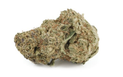 14g PARCEL-Sweet Notes Sativa (Sundae Driver)