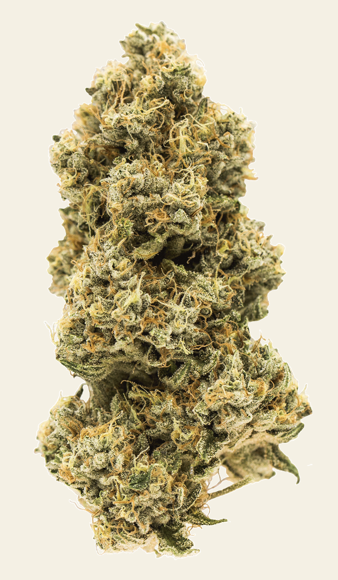 3.5g CARMEL-Animal Face
