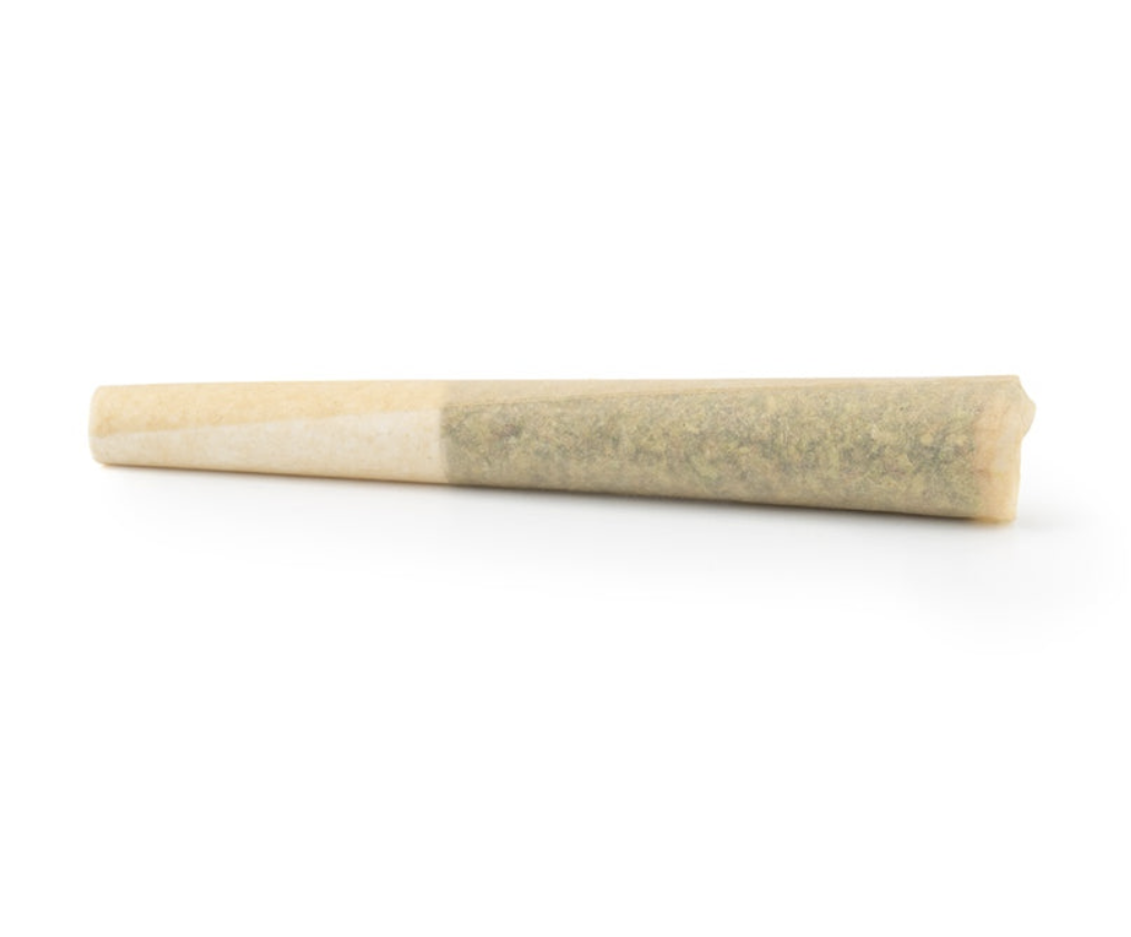 1.5g SUNDIAL-Blue Nova (Blue Dream) PR 3x0.5g