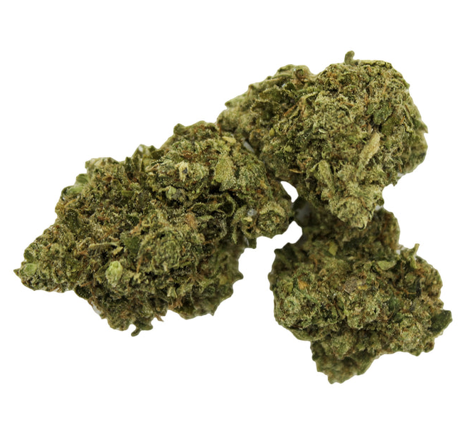 3.5g MAGI-Salt Spring Love Haze