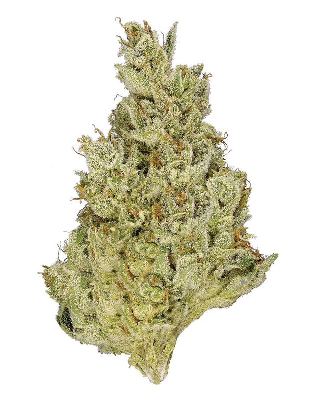 3.5g TANTALUS-Pacific OG