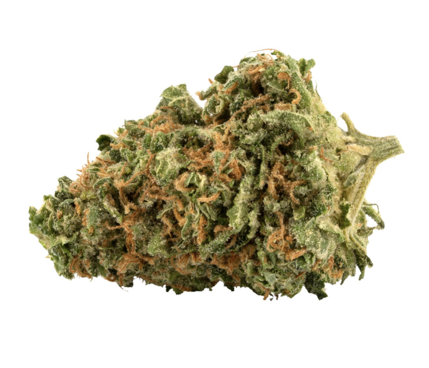 28g PALMETTO-Star Killer