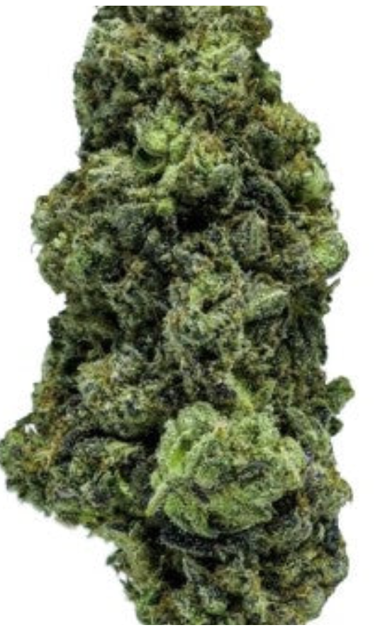 3.5g SUN COAST-Strawberry Shake