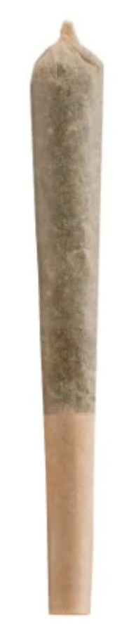 1g CONTRABAND-Glue99 (Baby Gluey x C99) PR 1x1g