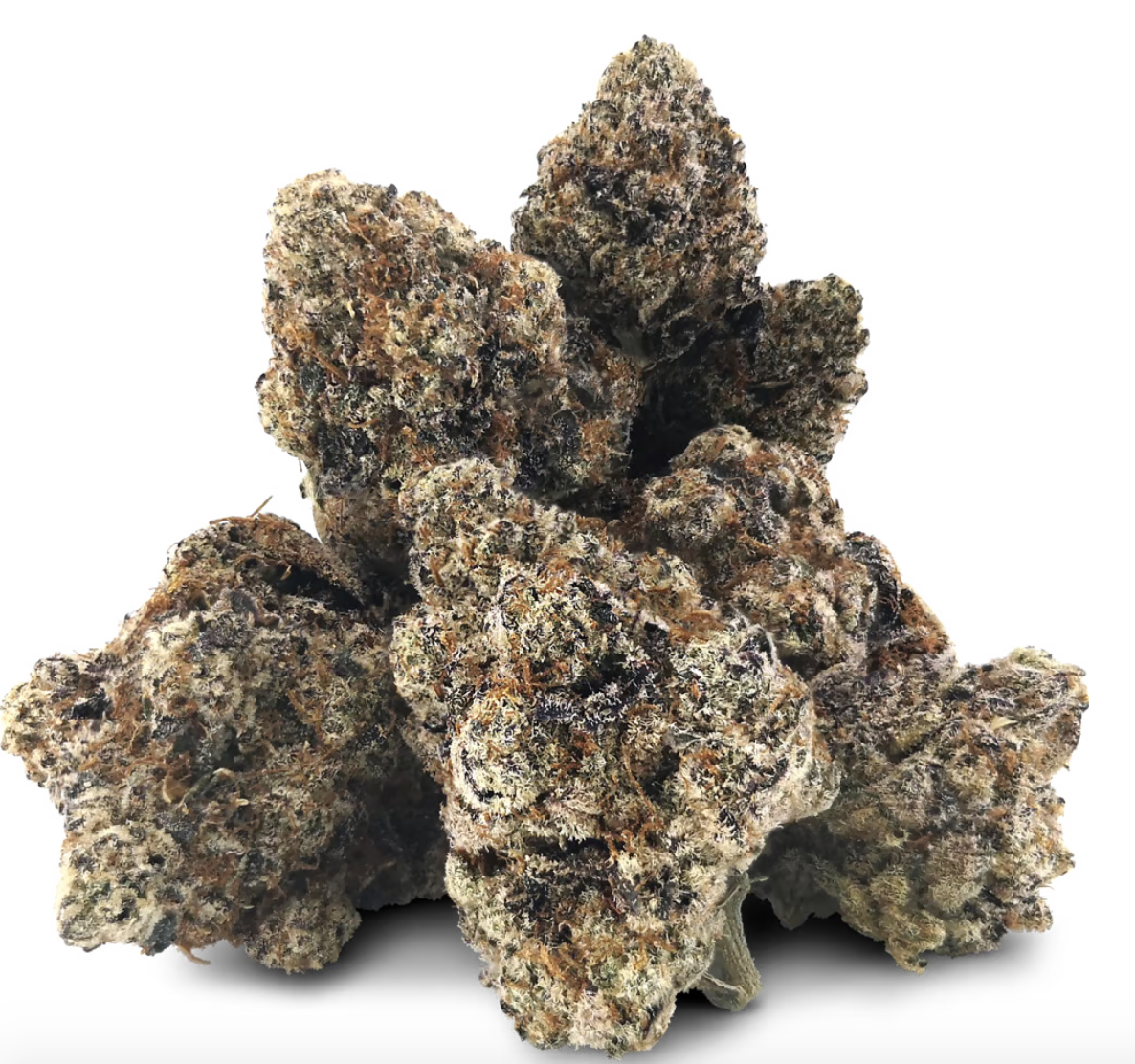 14g BC BLACK-Raspberry Ice Craft Flower