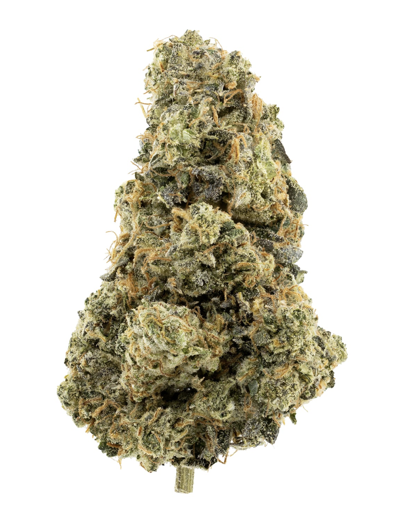 14g KOOTENAY CULTIVAR (GOLDEN SPRUCE)-Animal Face