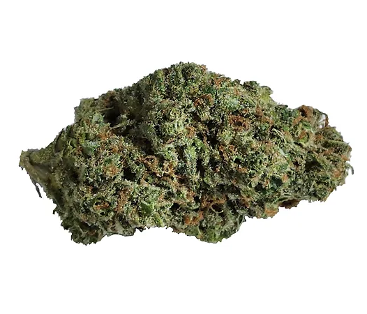 3.5g PHYTO FUNK-Grapefruit Experience