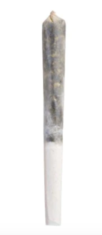 .5g TENZO-IC Sandwiches Infusion Infused PR 1x.5g