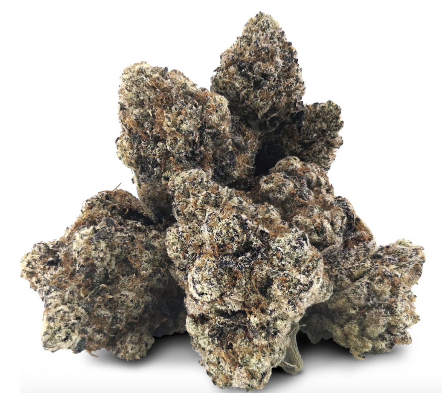 28g BC OZ-Raspberry Ice Craft Flower