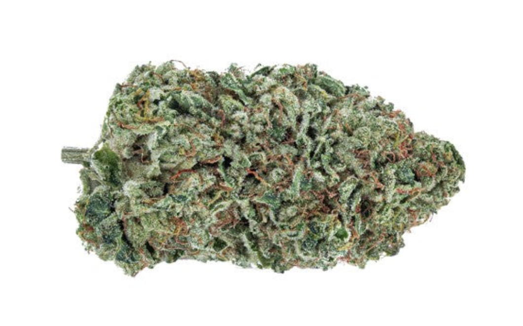 28g HIGHLY DUTCH ORGANIC-Rotterdam Indica | Purple Diesel Dawn