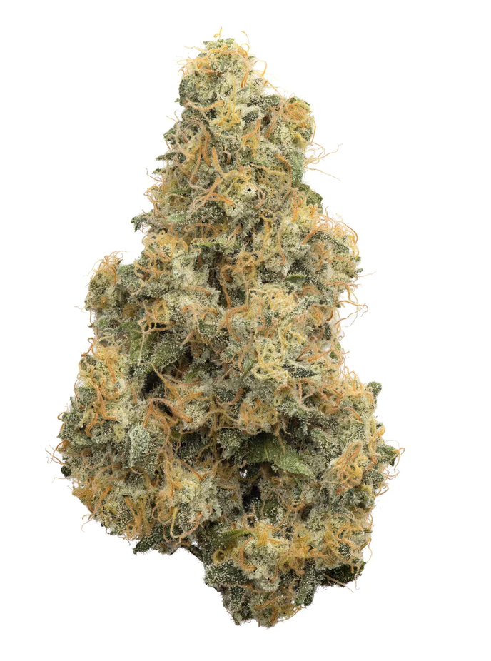 14g COAST MOUNTAIN-BC Organic Pure Cake Skunk