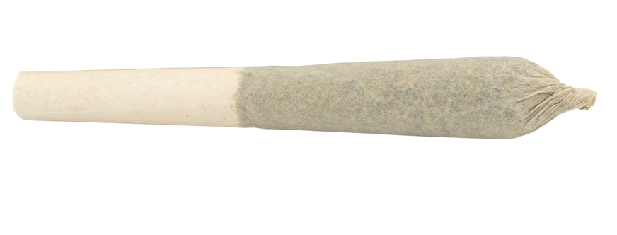 1.5g SUNDIAL-Citrus Orchard PR 3x0.5g