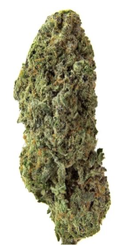 28g HOMESTEAD-Bandwagon Sativa | Gorilla Cookies