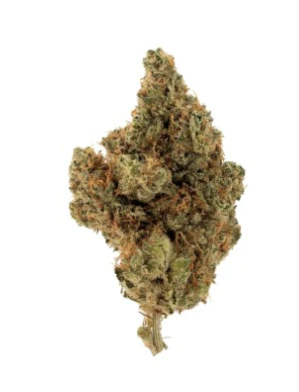 14g LOTUS (HERBAL DISPATCH)-Tranquil Elephantizer (88 G-13 Hashplant x Snow Lotus)