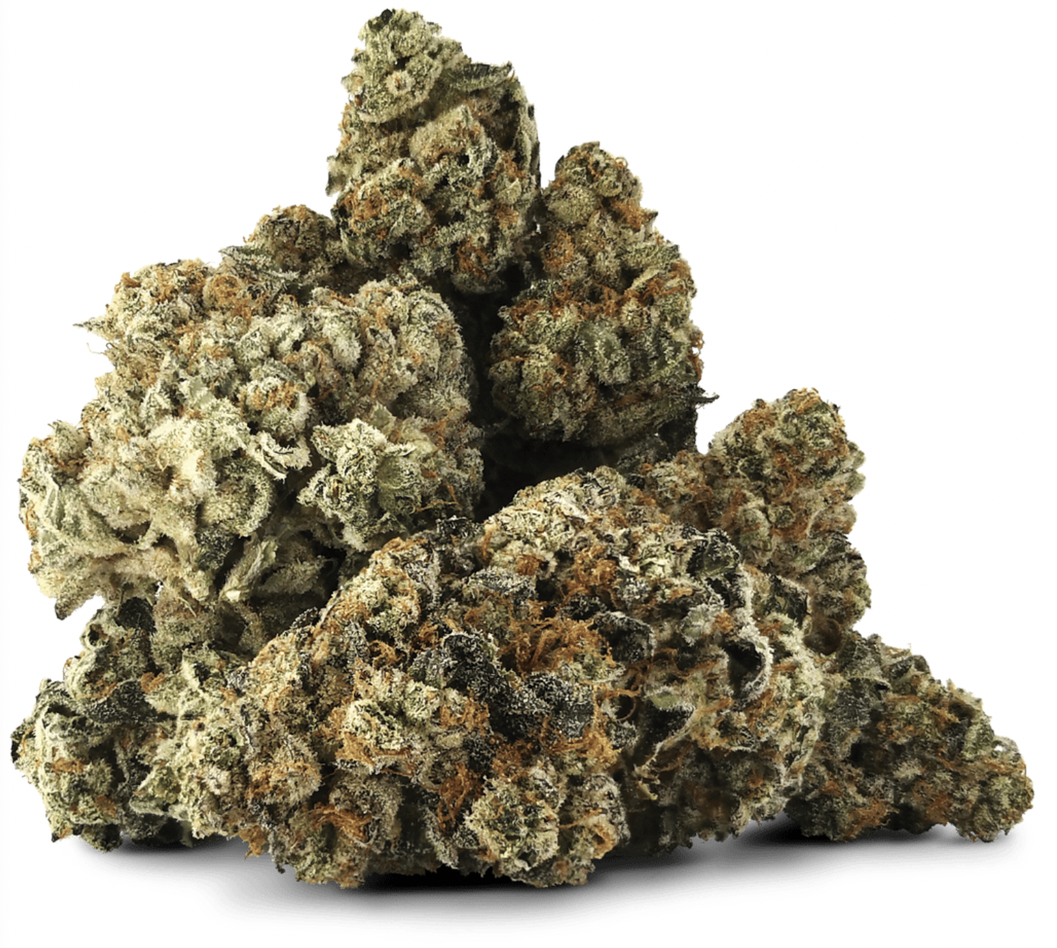14g DUNESBERRY FARMS-Greasy R*ntz x Secret Cookies