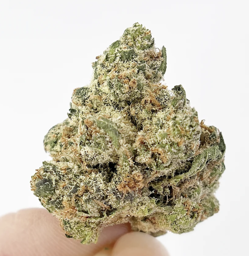 28g BC OZ-Sour Sangria Craft