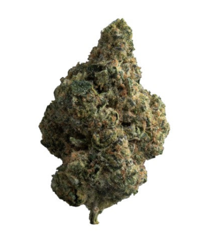 28g THE LOUD PLUG-Exotic Gas (Pink Cookies)