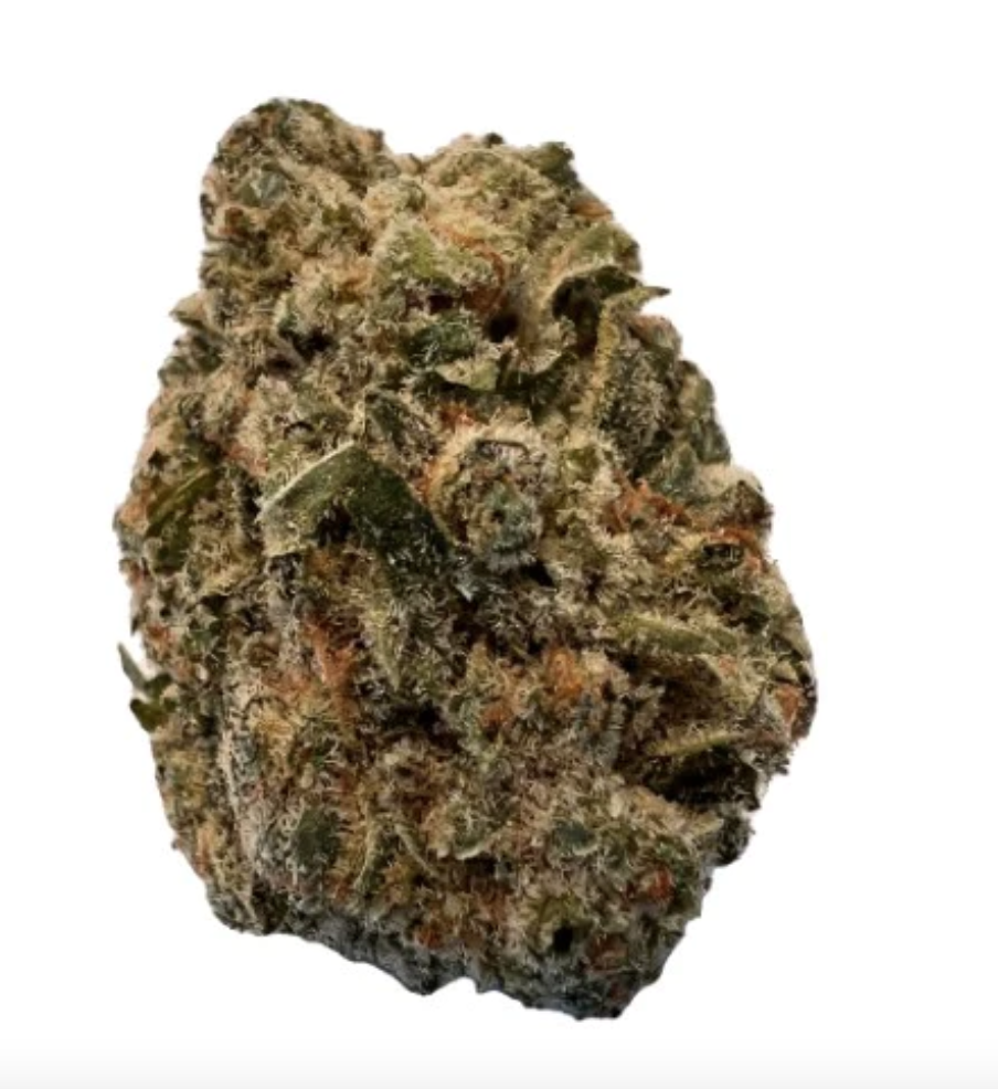 7g VERSUS-BC Purple Kush