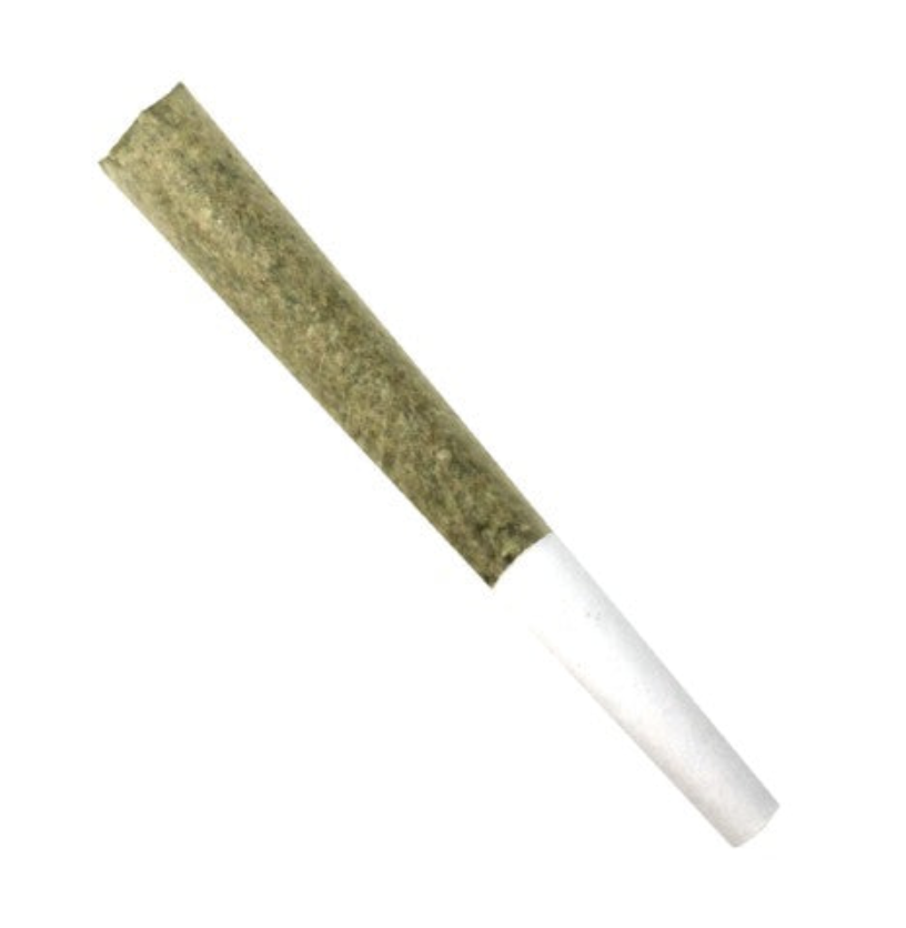 1g CHEAP &amp; CHEERFUL-Ciroc PR 1x1g