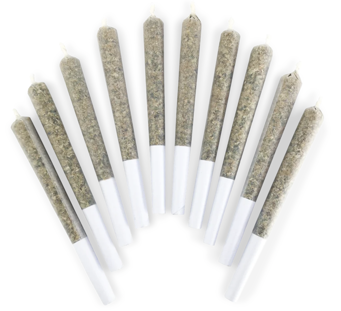 5g BC BLACK DOOBIES-Tropical Truffle PR 10x.5g