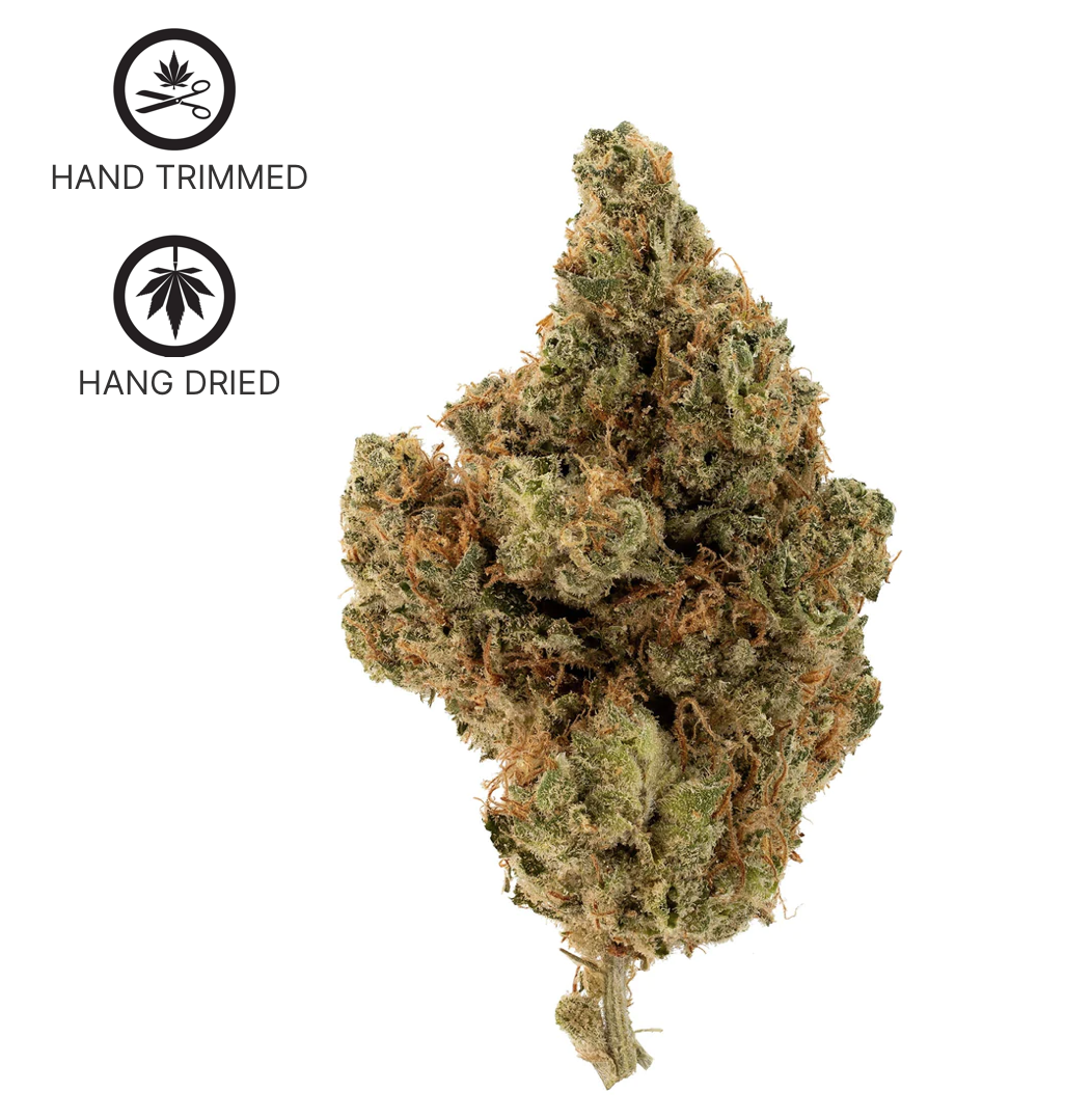 3.5g LOTUS (HERBAL DISPATCH)-Tranquil Elephantizer