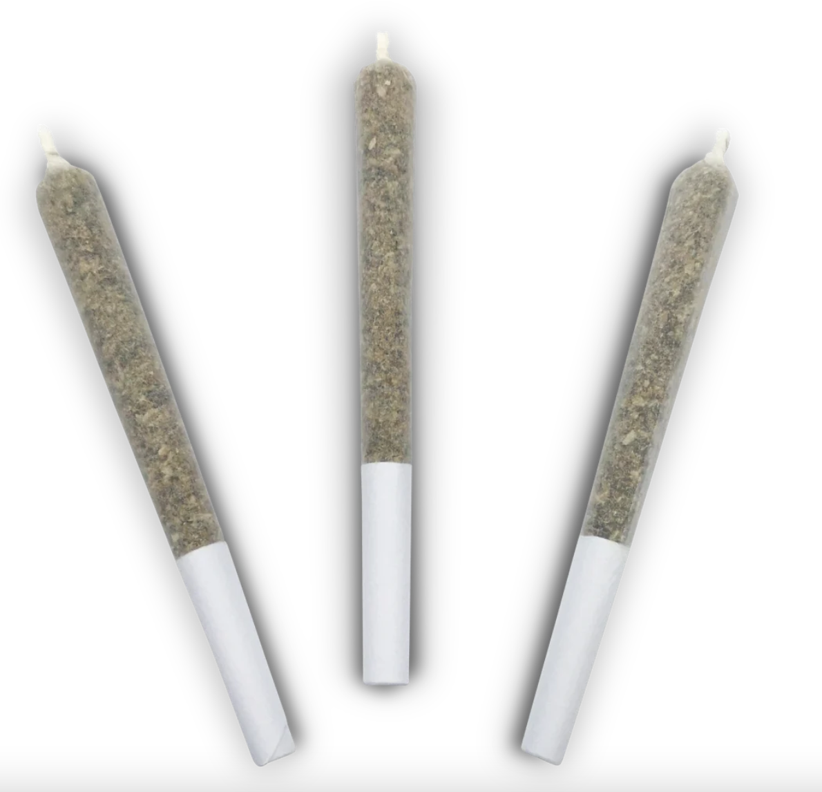 2.25g BC BLACK-Grape Gatsby PR 3x.75g
