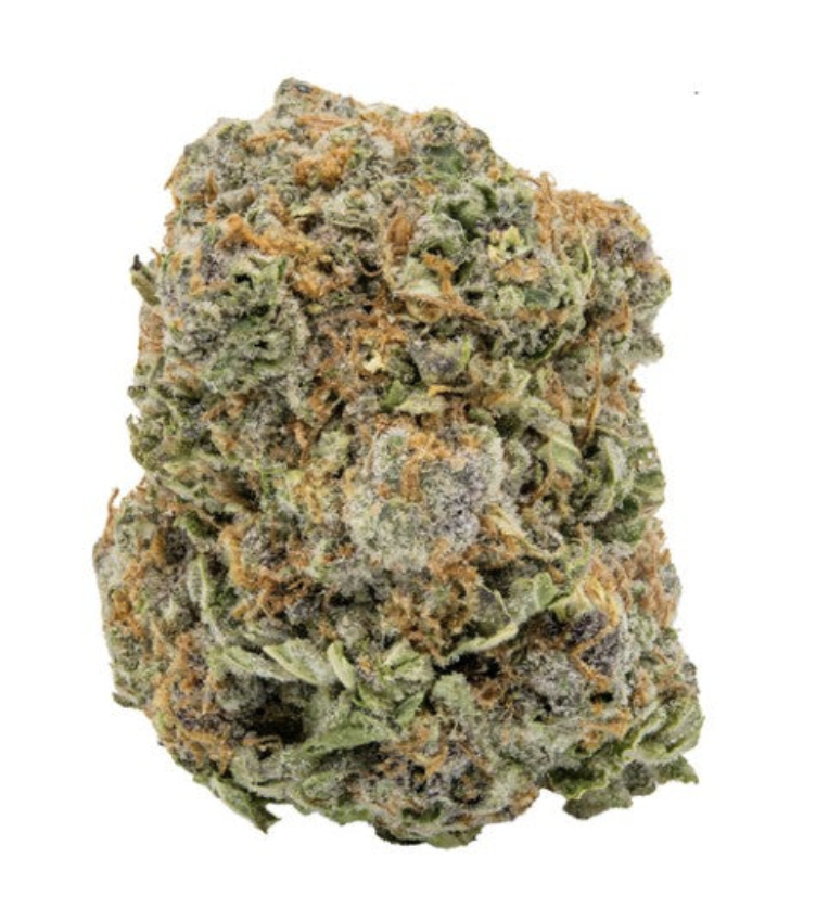 7g KOOTENAY QUANTUM x ANTIDOTE-KQ Jager 