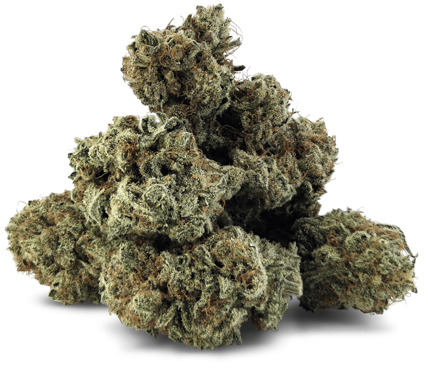 7g GREAT GARDENER FARMS-Sweet Peach