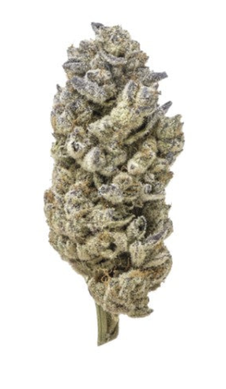 7g TANTALUS-Cake Crasher